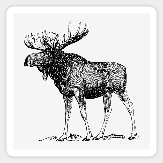 Vintage Moose Sticker by Vintage Sketches